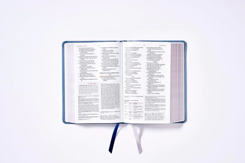 Biblia de Estudio NBLA, Interior a Dos Colores - Image 13