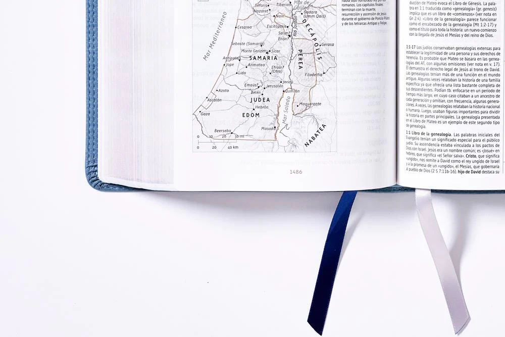 Biblia de Estudio NBLA, Interior a Dos Colores - Image 17