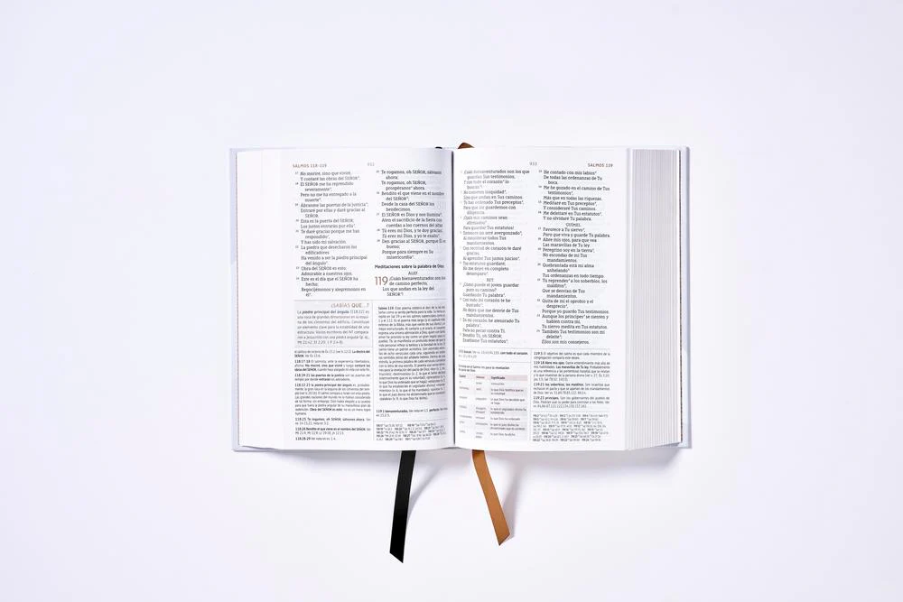 Biblia de Estudio NBLA, Interior a Dos Colores - Image 18