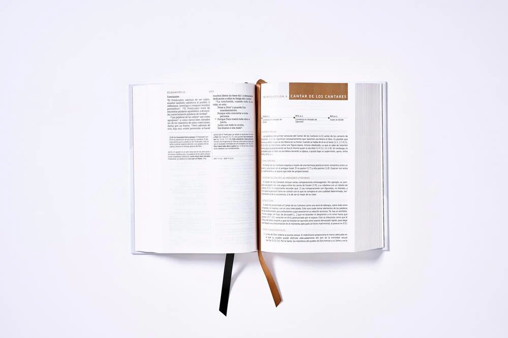 Biblia de Estudio NBLA, Interior a Dos Colores - Image 19
