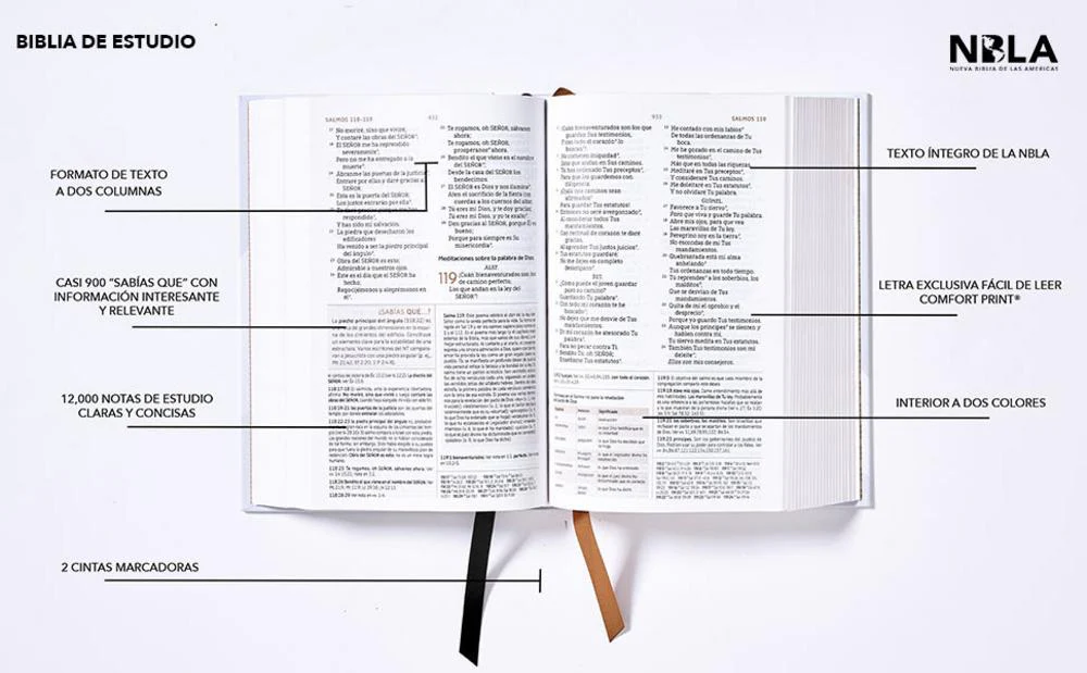 Biblia de Estudio NBLA, Interior a Dos Colores - Image 21