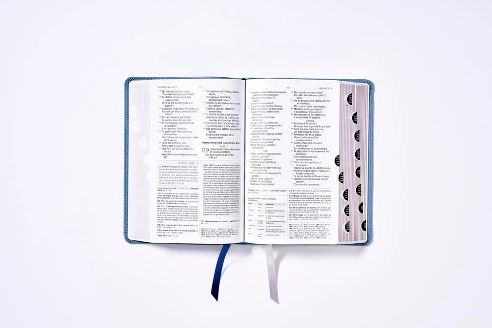 Biblia de Estudio NBLA, Interior a Dos Colores - Image 29