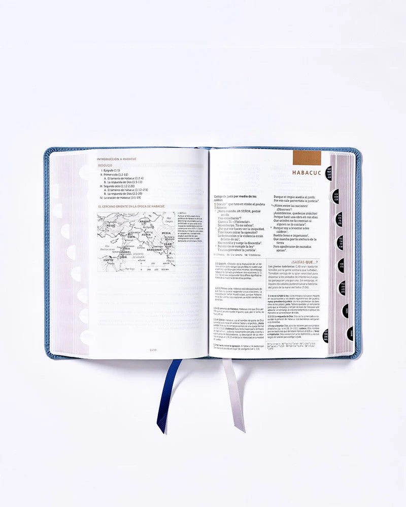 Biblia de Estudio NBLA, Interior a Dos Colores - Image 31