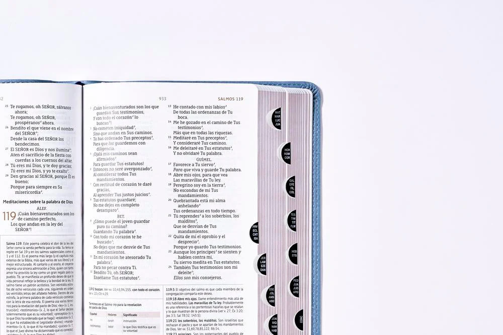 Biblia de Estudio NBLA, Interior a Dos Colores - Image 32