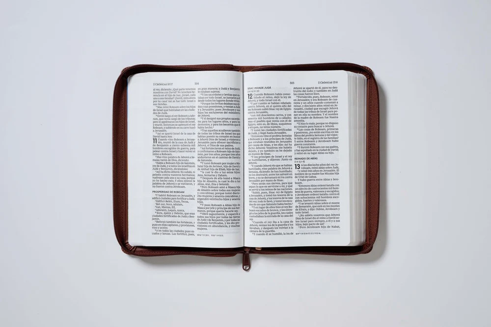 Biblia Reina-Valera 1960, Tierra Santa, Letra grande, Leathersoft, Con cierre - Image 77