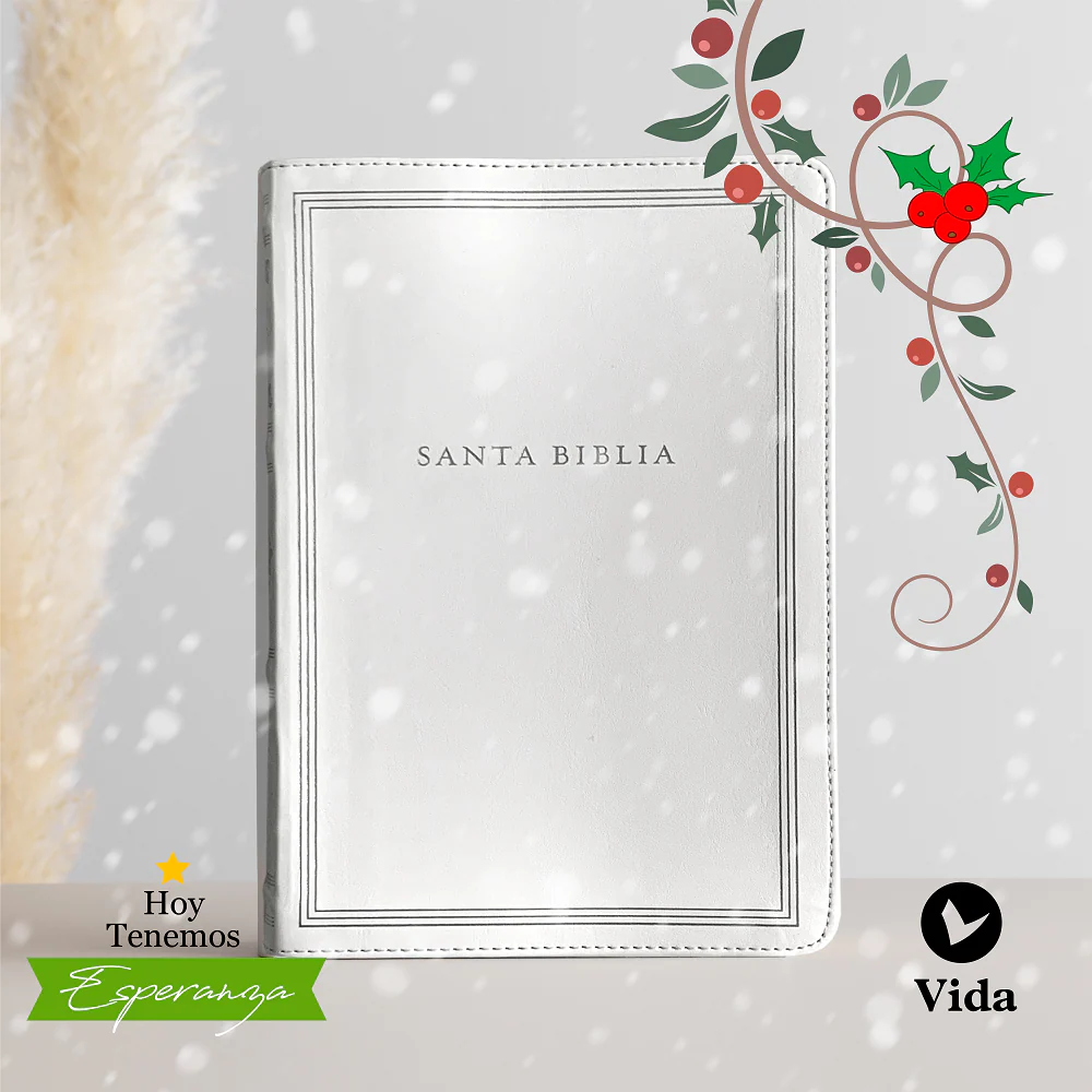Biblia Reina-Valera 1960, Tierra Santa, Letra grande, Leathersoft, Con cierre - Image 95