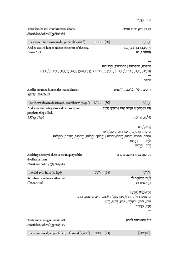 Biblical Hebrew and Aramaic Dictionary - Image 8
