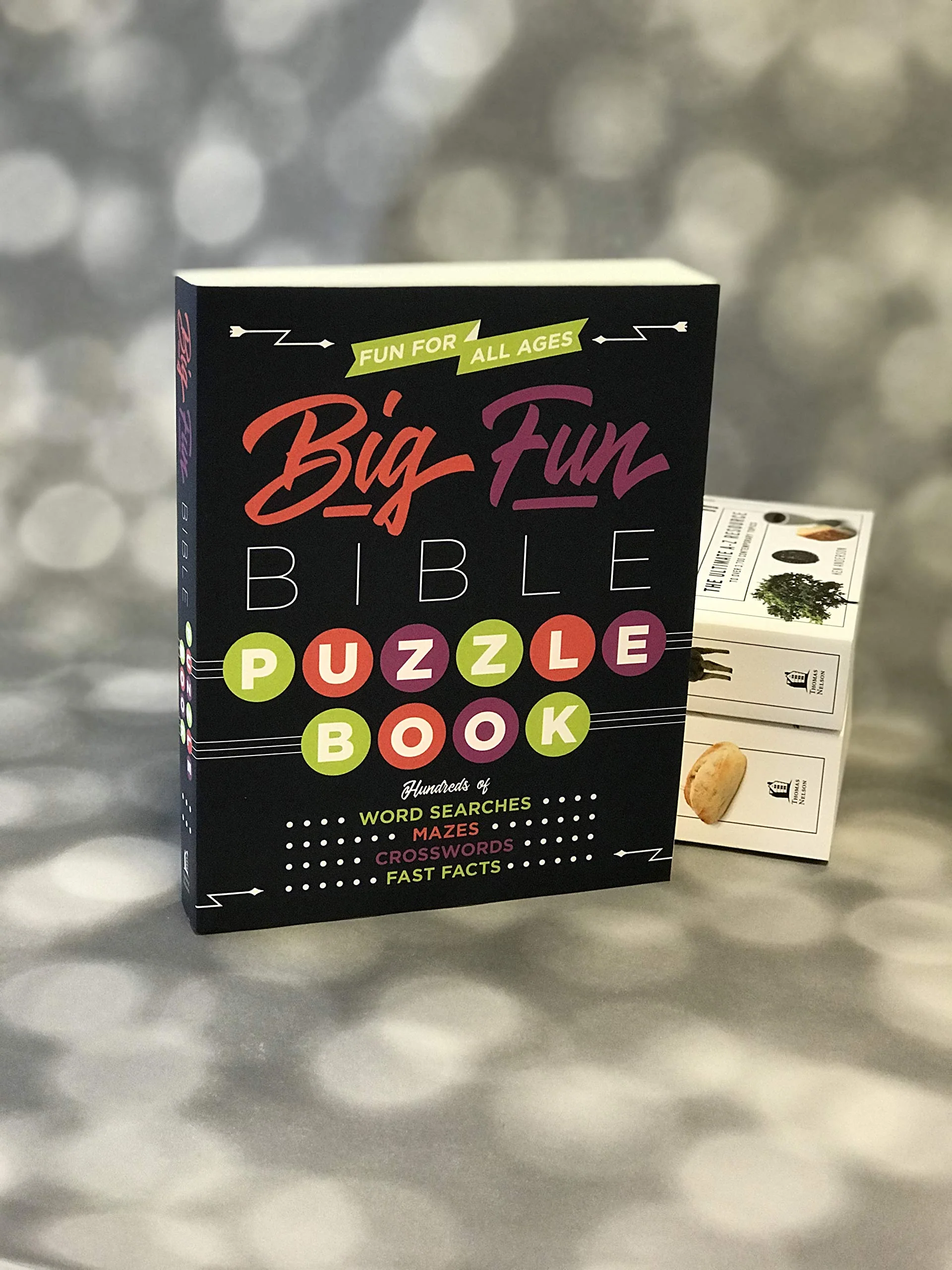 Big Fun Bible Puzzle Book - Image 2