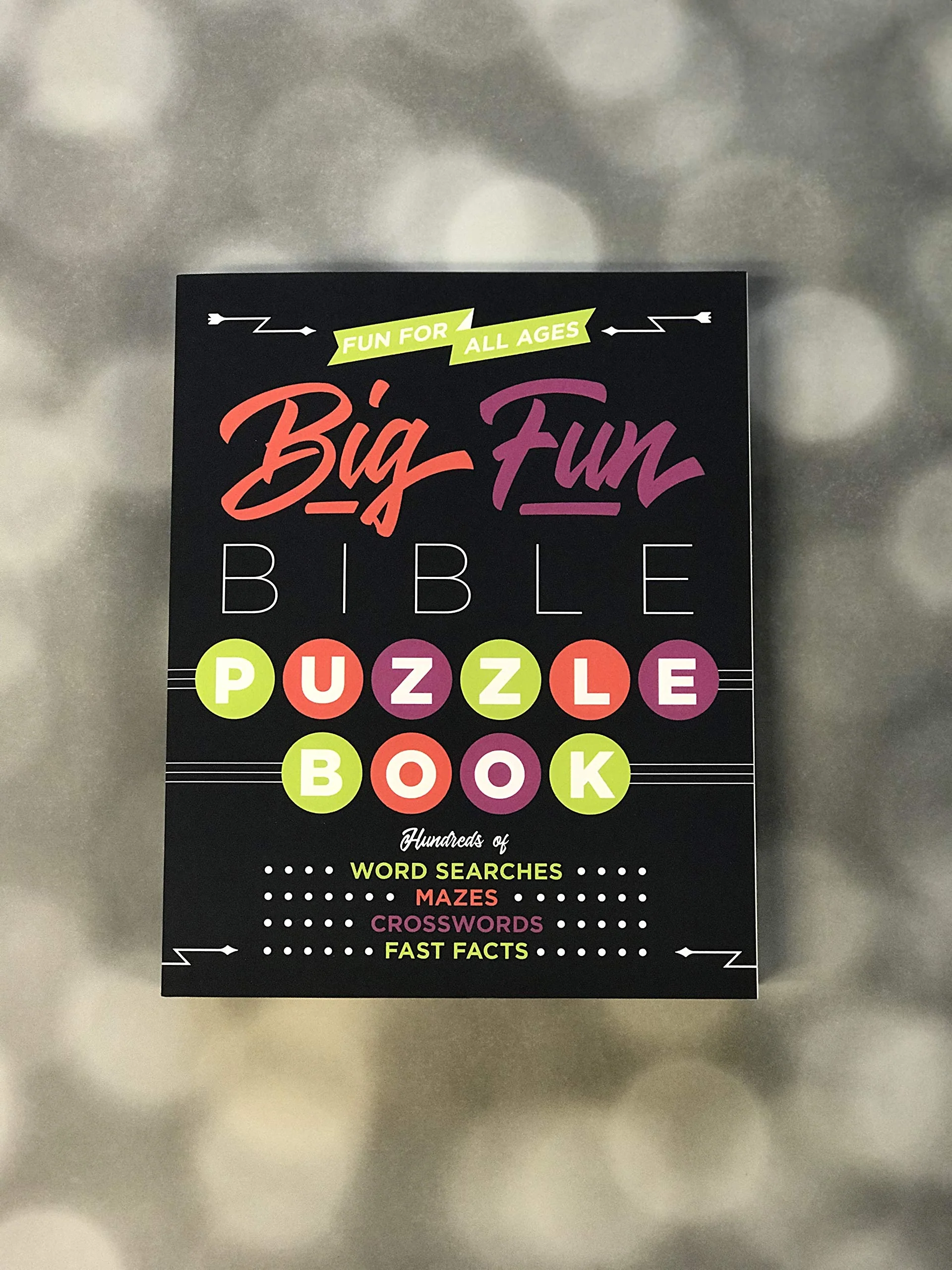 Big Fun Bible Puzzle Book - Image 3