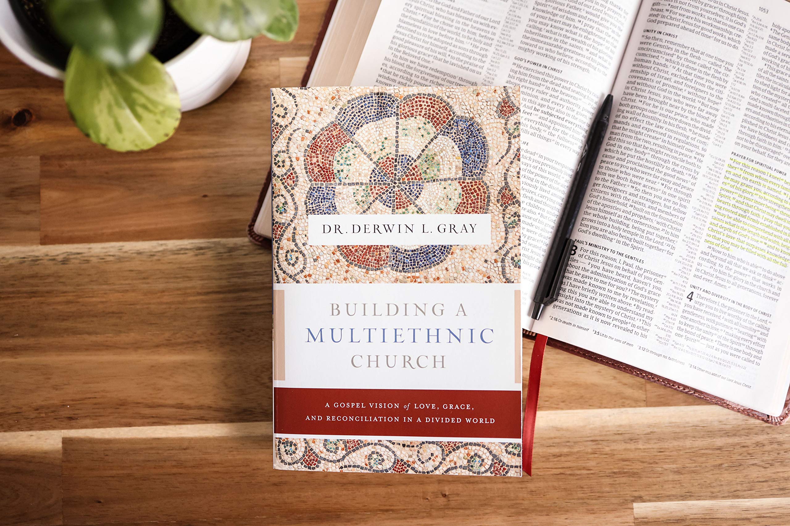 Building a Multiethnic Church: A Gospel Vision of Love, Grace, and Reconciliation in a Divided World - Image 3