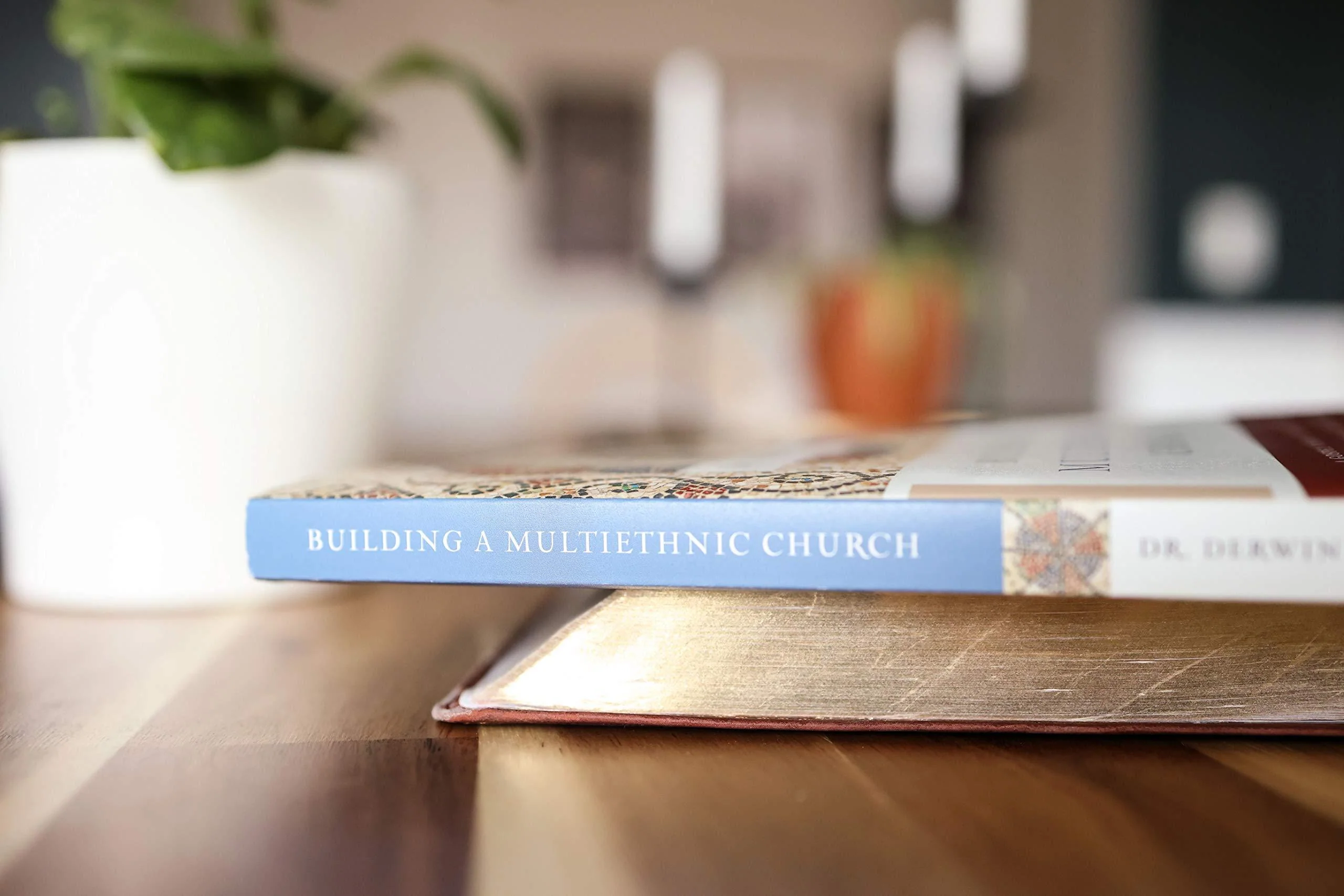 Building a Multiethnic Church: A Gospel Vision of Love, Grace, and Reconciliation in a Divided World - Image 5