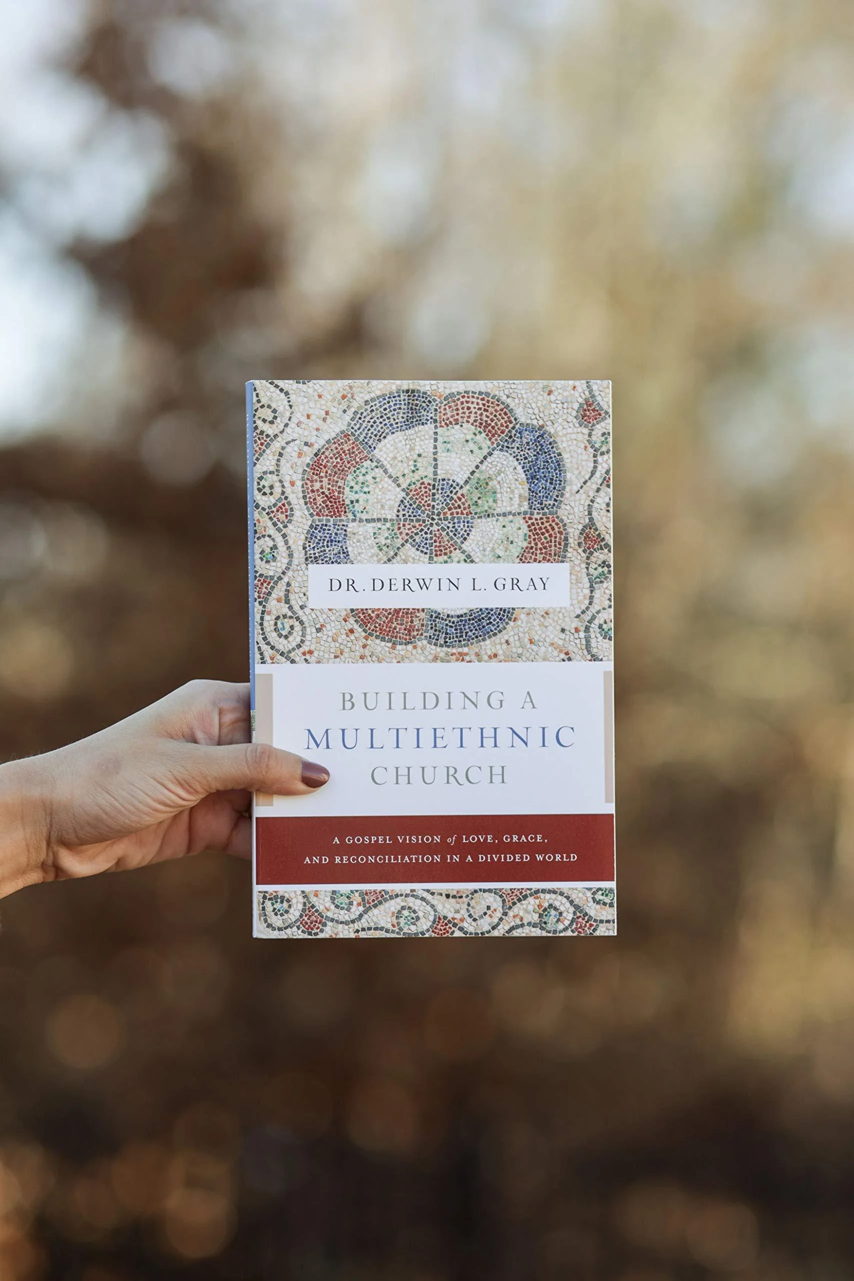 Building a Multiethnic Church: A Gospel Vision of Love, Grace, and Reconciliation in a Divided World - Image 6