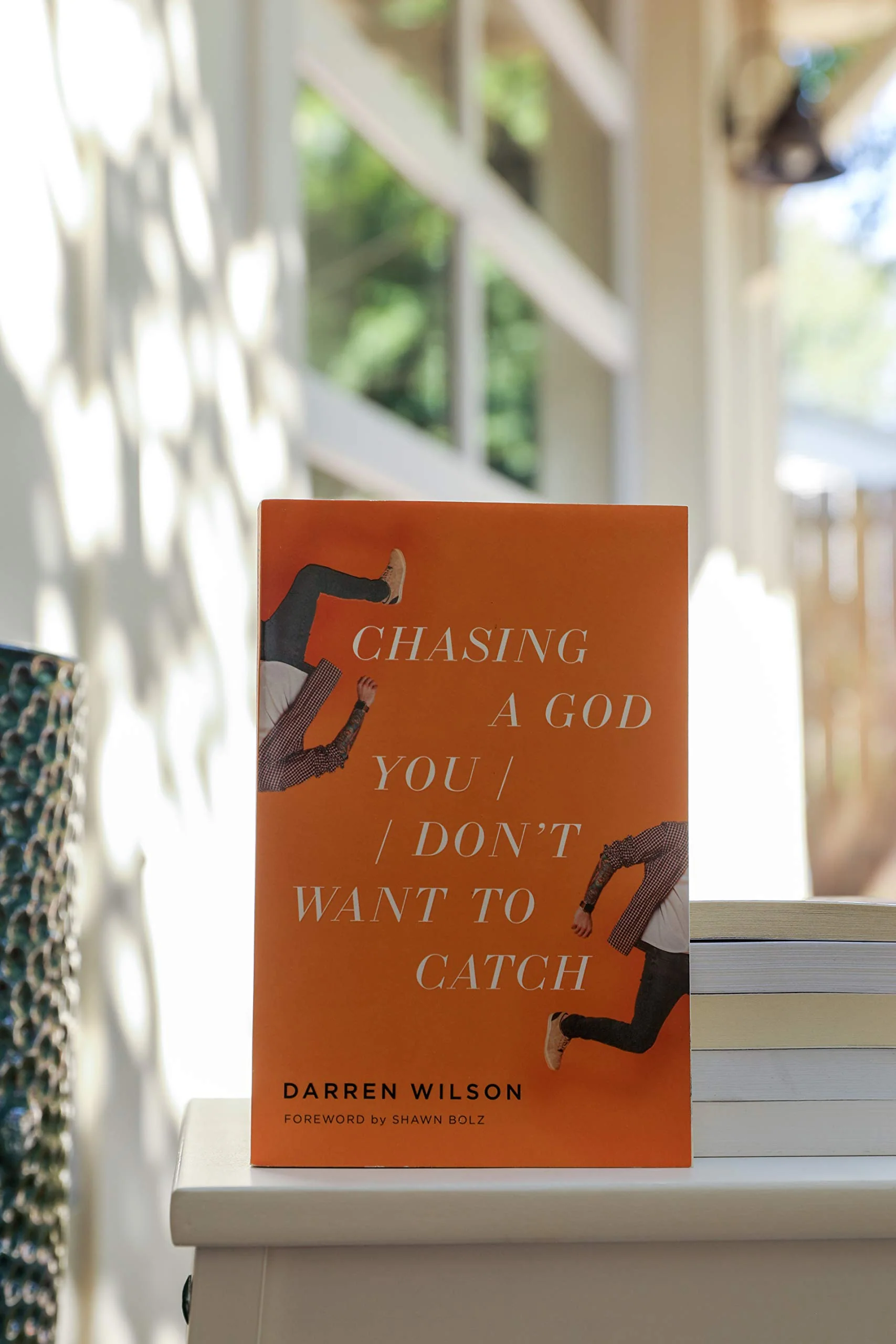 Chasing a God You Don't Want to Catch: Looking at the Honest Questions, Doubts, and Fears Christians Have About God - Image 3