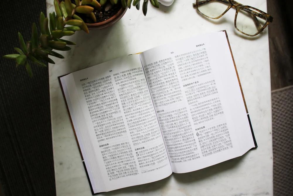 Chinese Contemporary Bible, Hardcover - Image 6