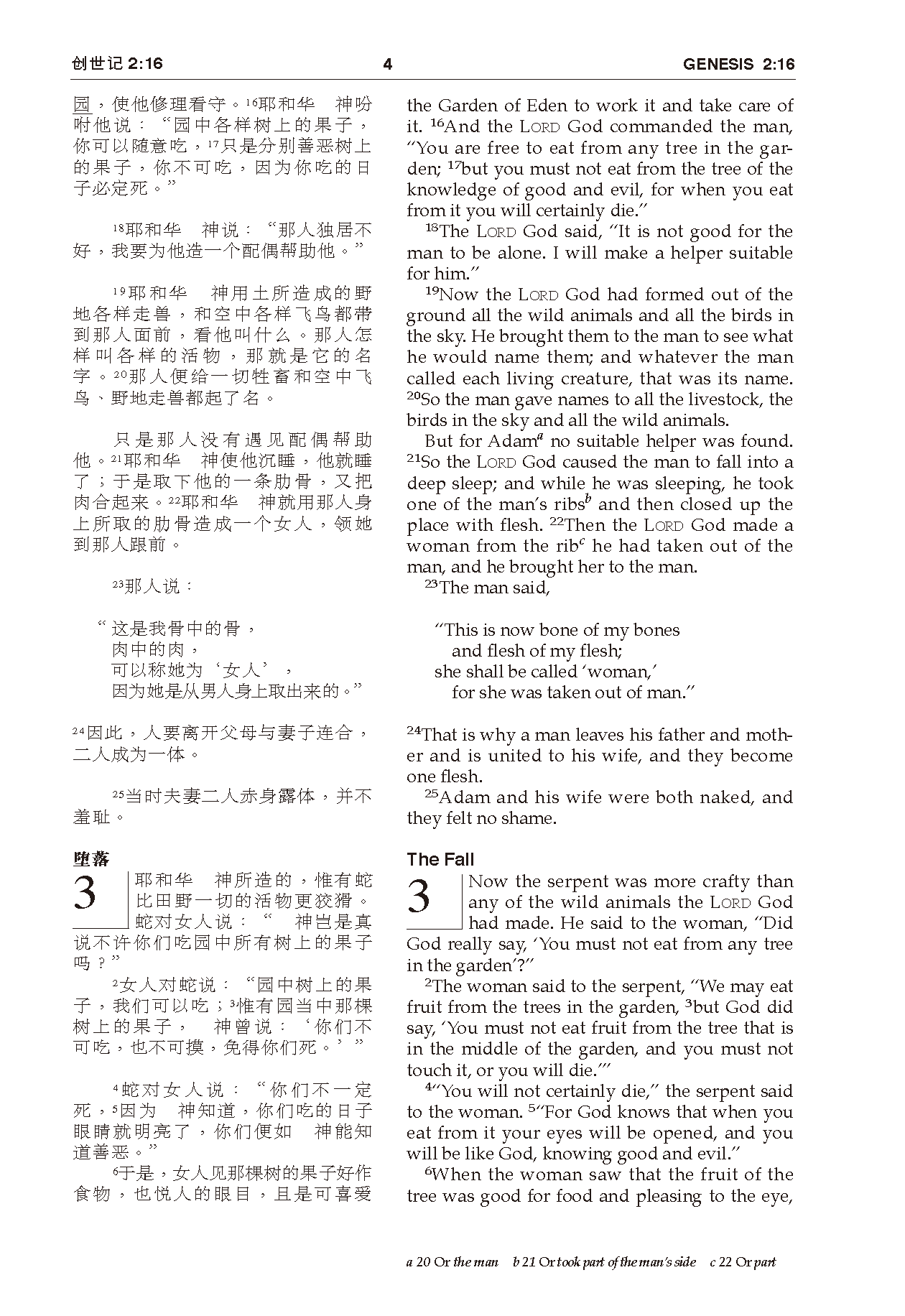 CUV (Simplified Script), NIV, Chinese/English Bilingual Bible - Image 9
