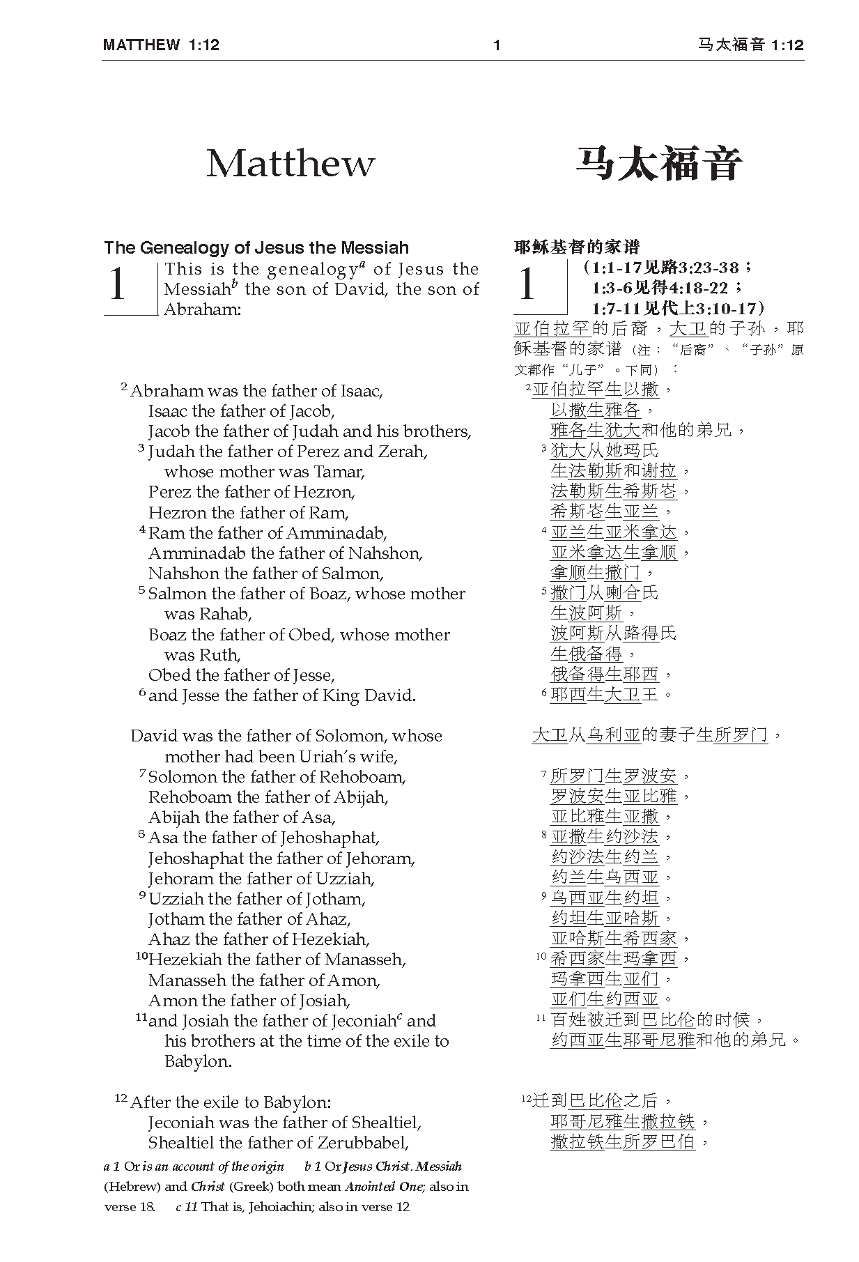 Chinese CUV (Simplified Script)/English NIV Bilingual New Testament, Paperback, Red - Image 3