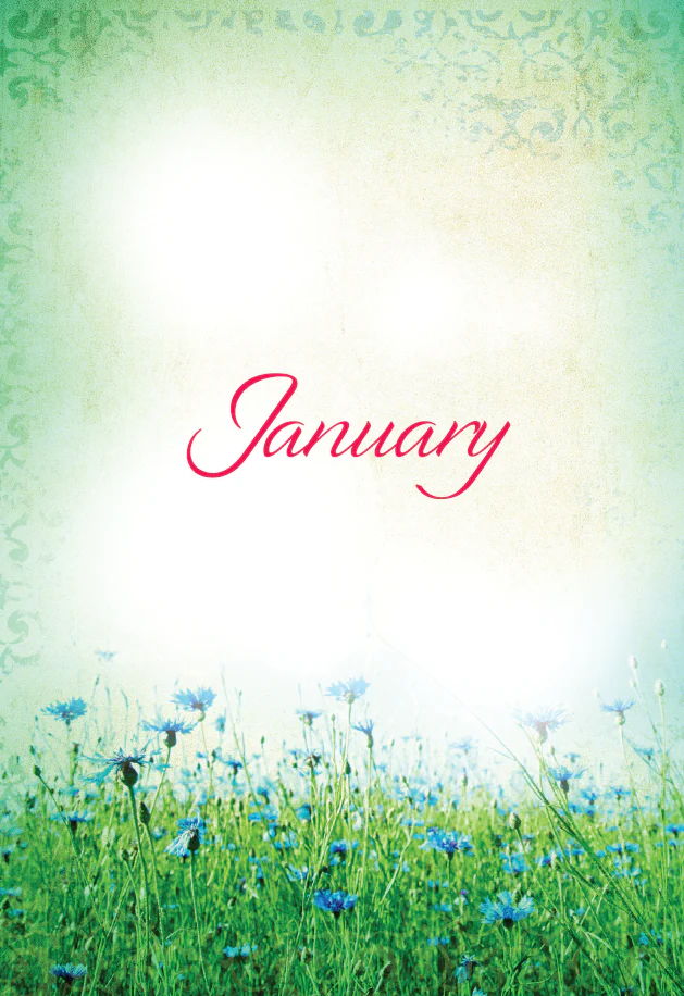 Daily Guideposts 365 Spirit-Lifting Devotions for Women: Inspirational Christian Guidance for Women of All Ages and Walks of Life - Image 3