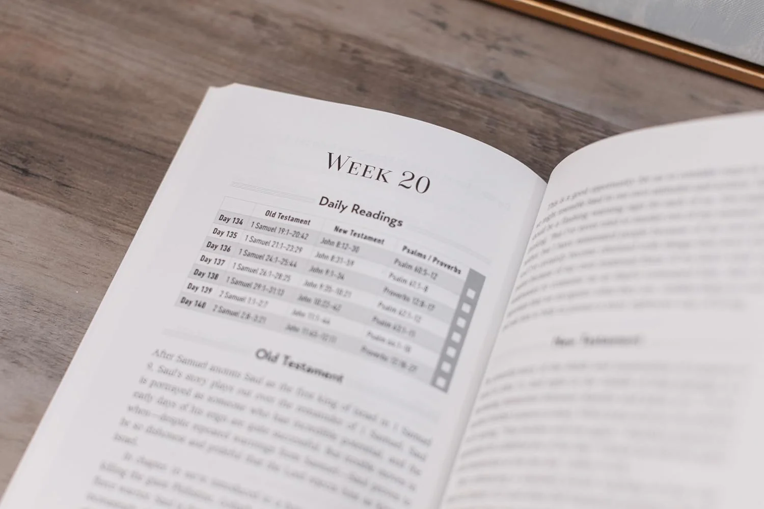 Daily Scripture Guidebook: A 52-Week Journey Through the Bible - Image 5