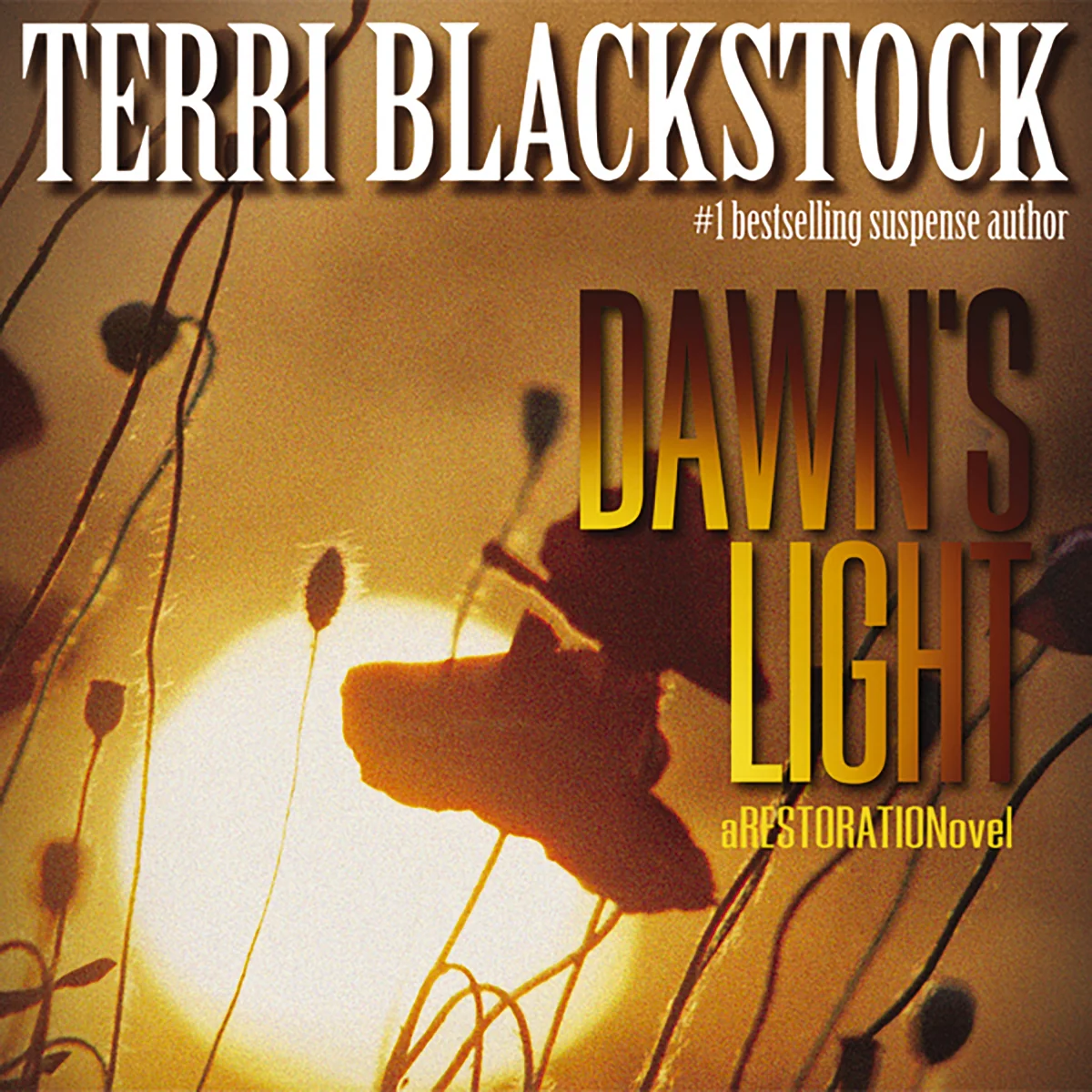 Dawn's Light: Christian Thriller Where Knowing the Truth Makes You a Target - Audiobook (Unabridged)
