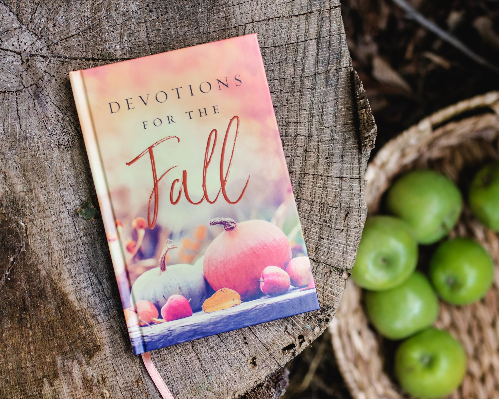 Devotions for the Fall: Celebrate the Harvest Season with Gratitude and Joy (A 40-Day Devotional) - Image 5