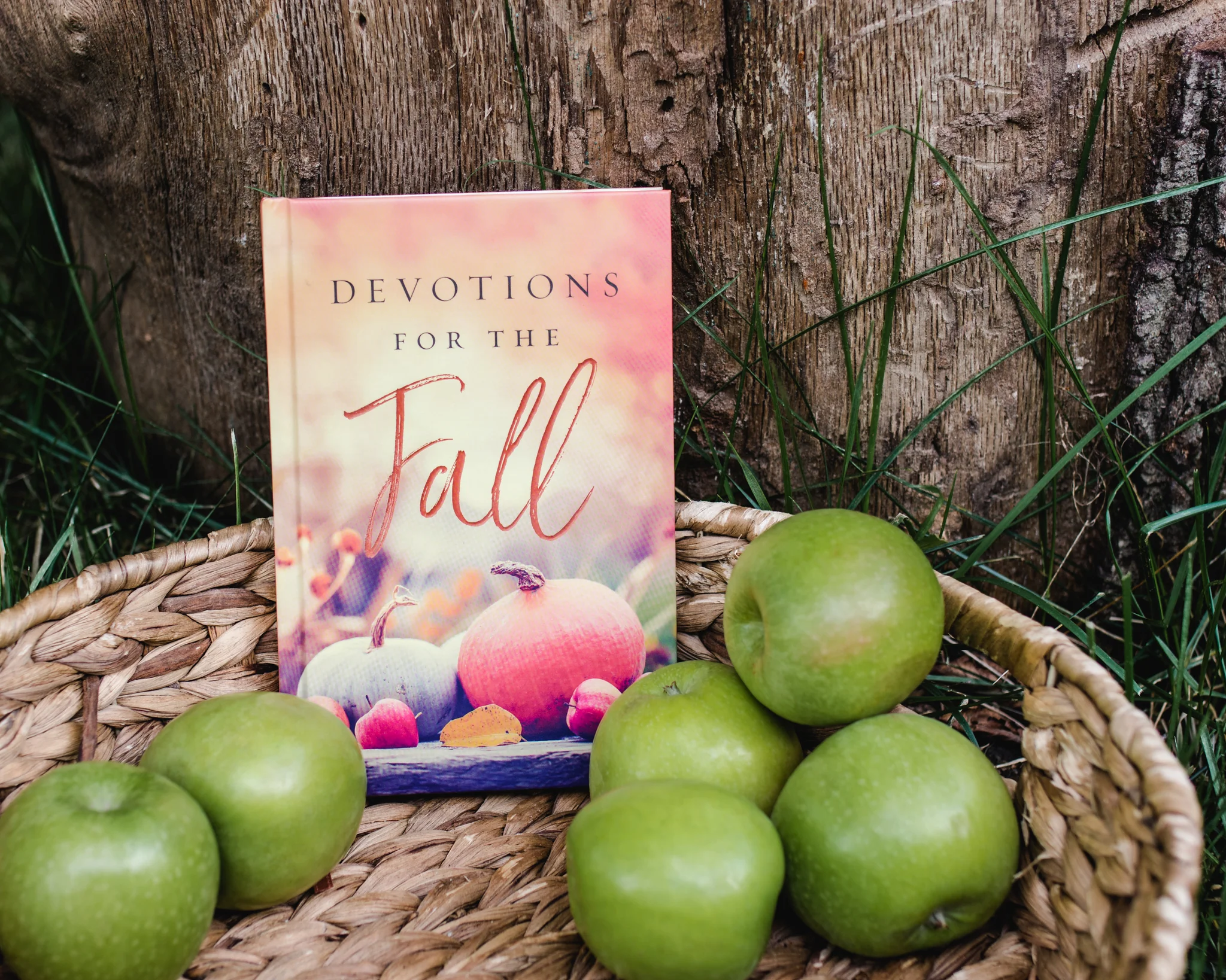 Devotions for the Fall: Celebrate the Harvest Season with Gratitude and Joy (A 40-Day Devotional) - Image 6