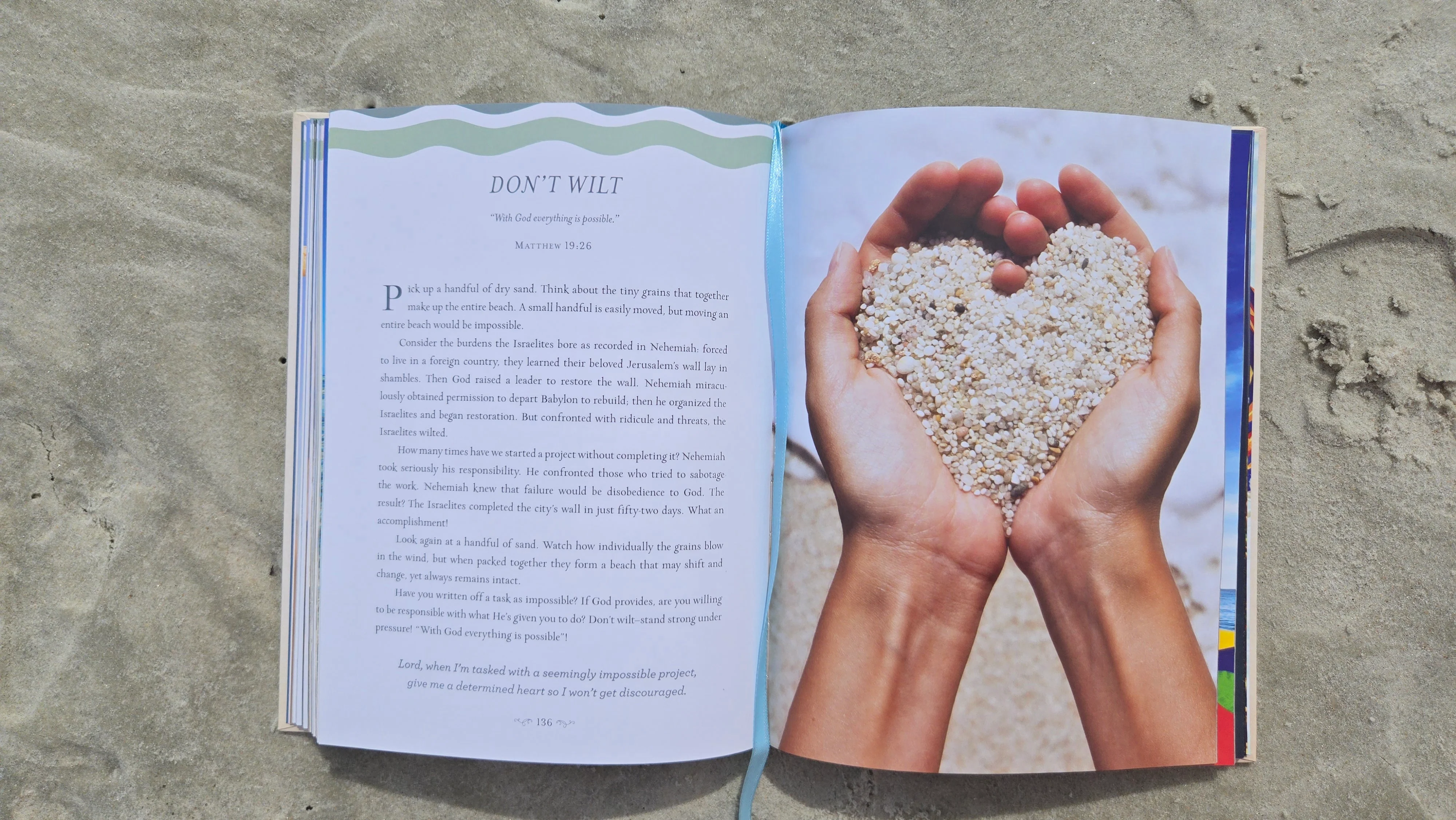 Devotions from the Beach: 100 Devotions - Image 5