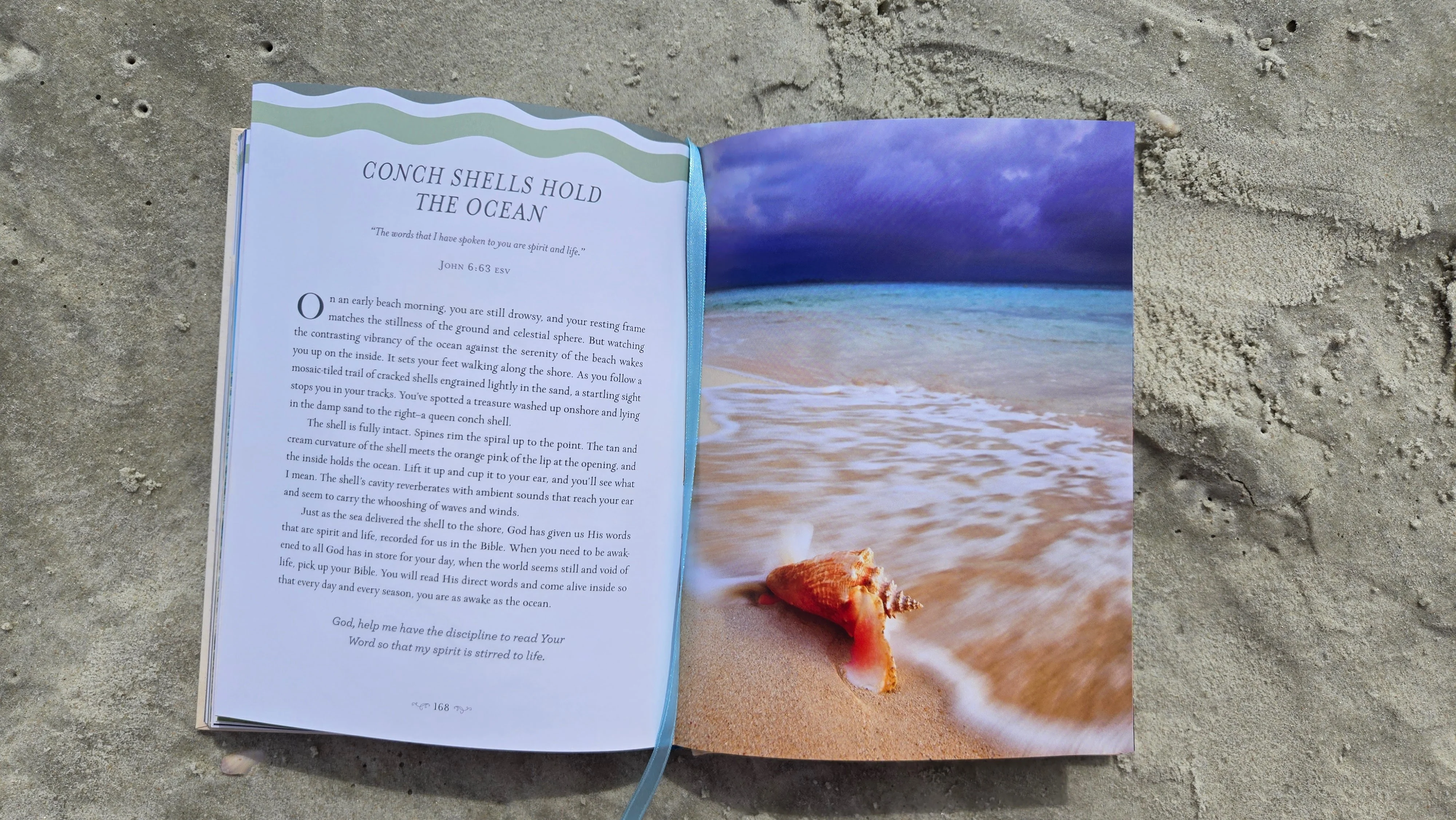 Devotions from the Beach: 100 Devotions - Image 7