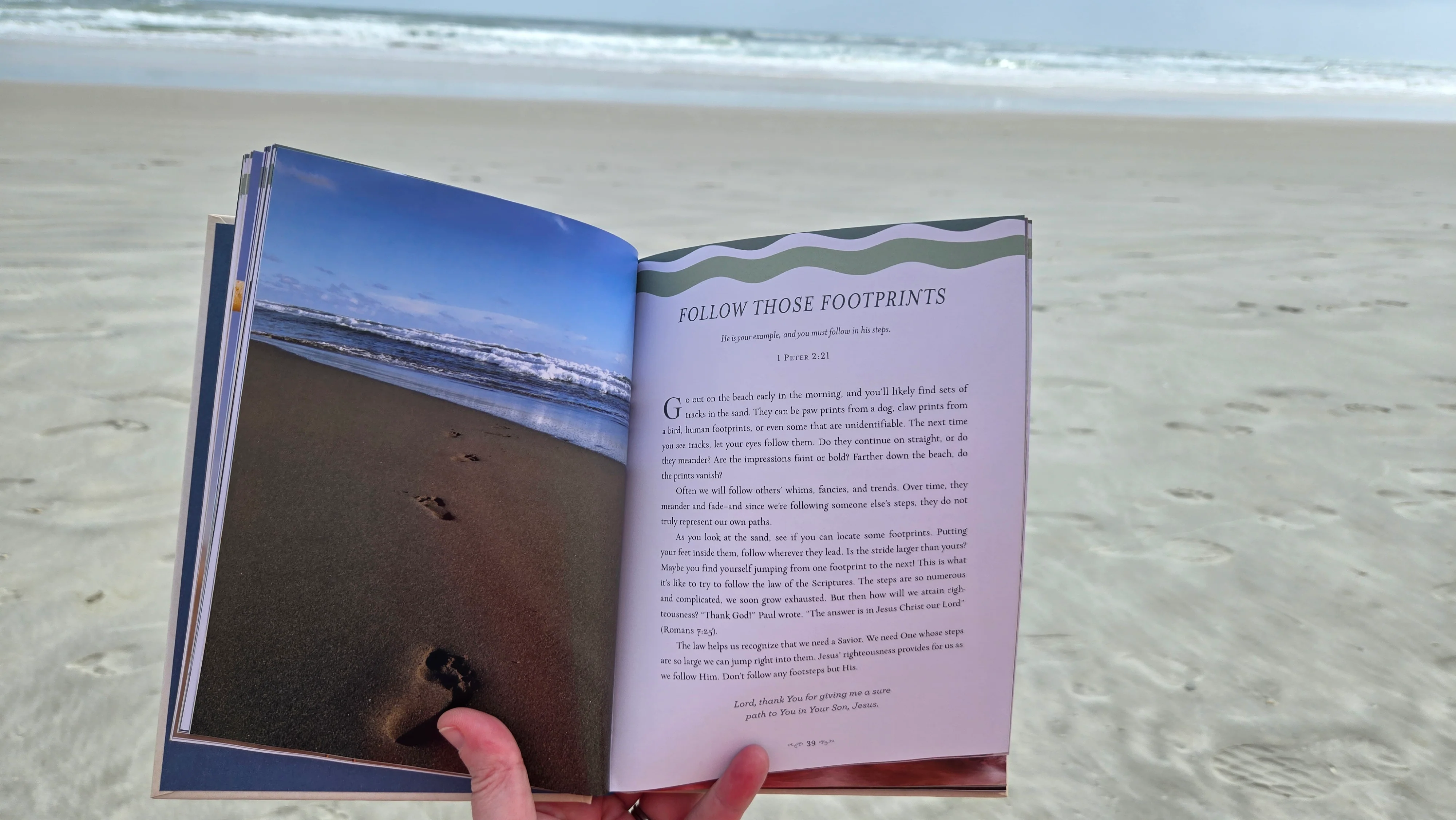 Devotions from the Beach: 100 Devotions - Image 8