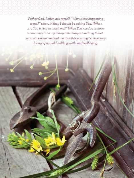 Devotions from the Garden: Finding Peace and Rest from Your Hurried Life (A 90-Day Devotional) - Image 5