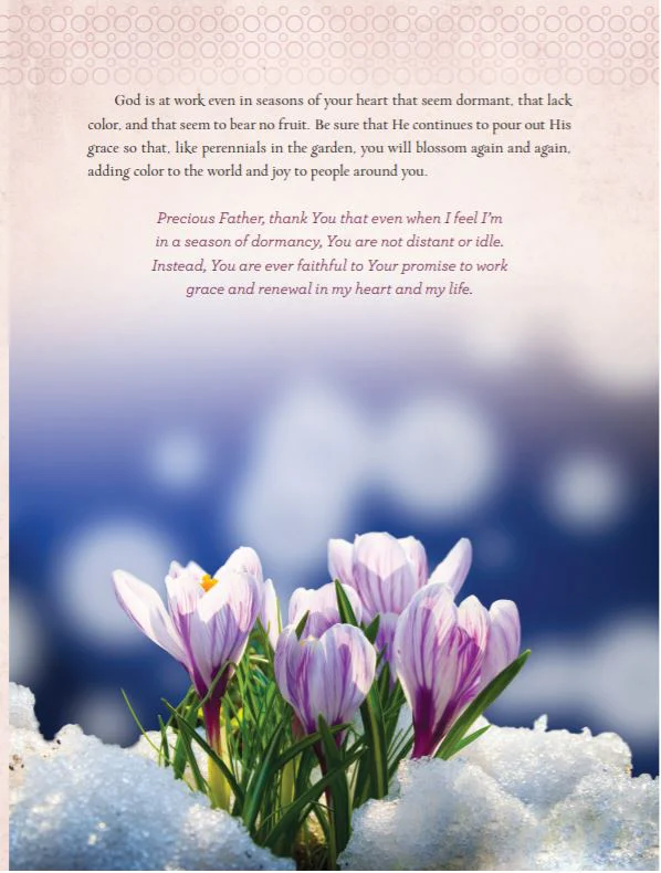Devotions from the Garden: Finding Peace and Rest from Your Hurried Life (A 90-Day Devotional) - Image 6