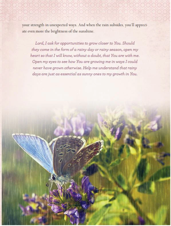 Devotions from the Garden: Finding Peace and Rest from Your Hurried Life (A 90-Day Devotional) - Image 9