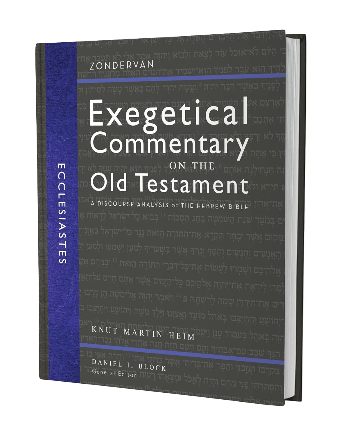 Ecclesiastes: A Discourse Analysis of the Hebrew Bible - Image 4