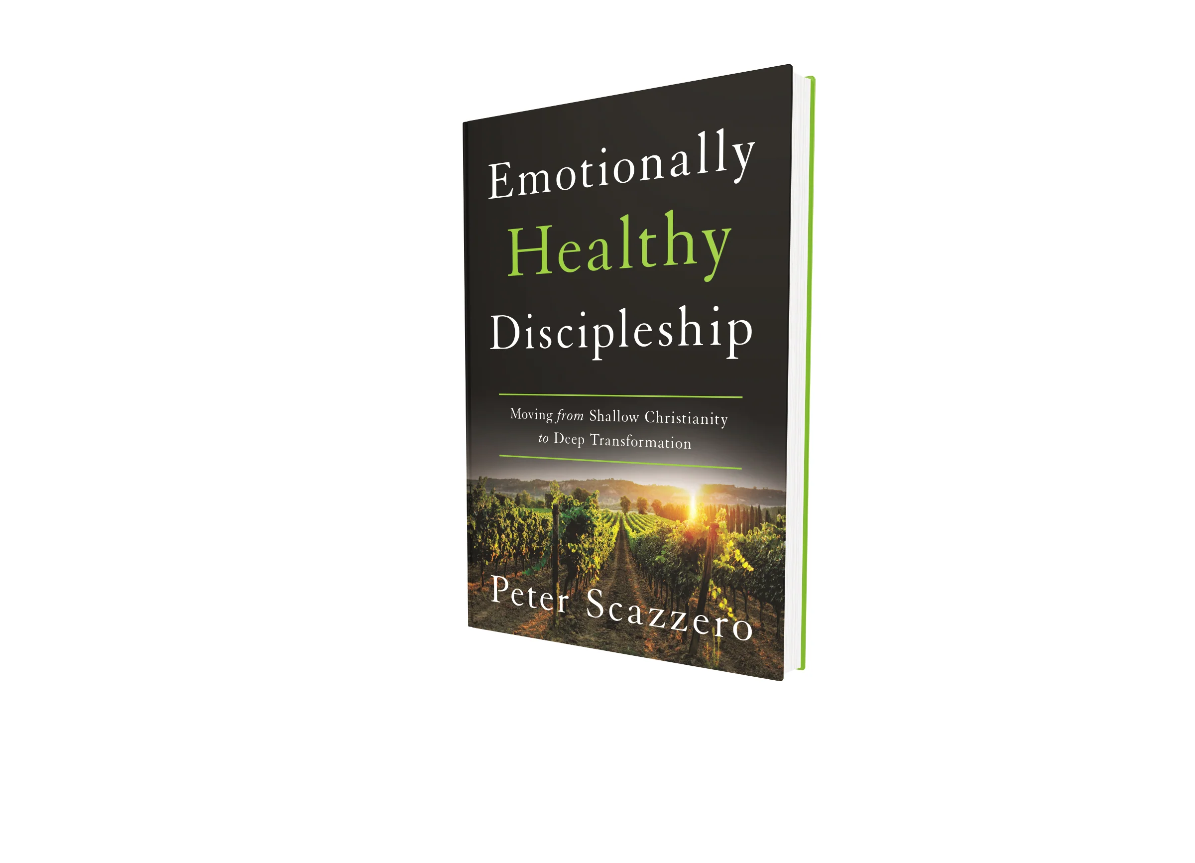 Emotionally Healthy Discipleship: Moving from Shallow Christianity to Deep Transformation - Image 3