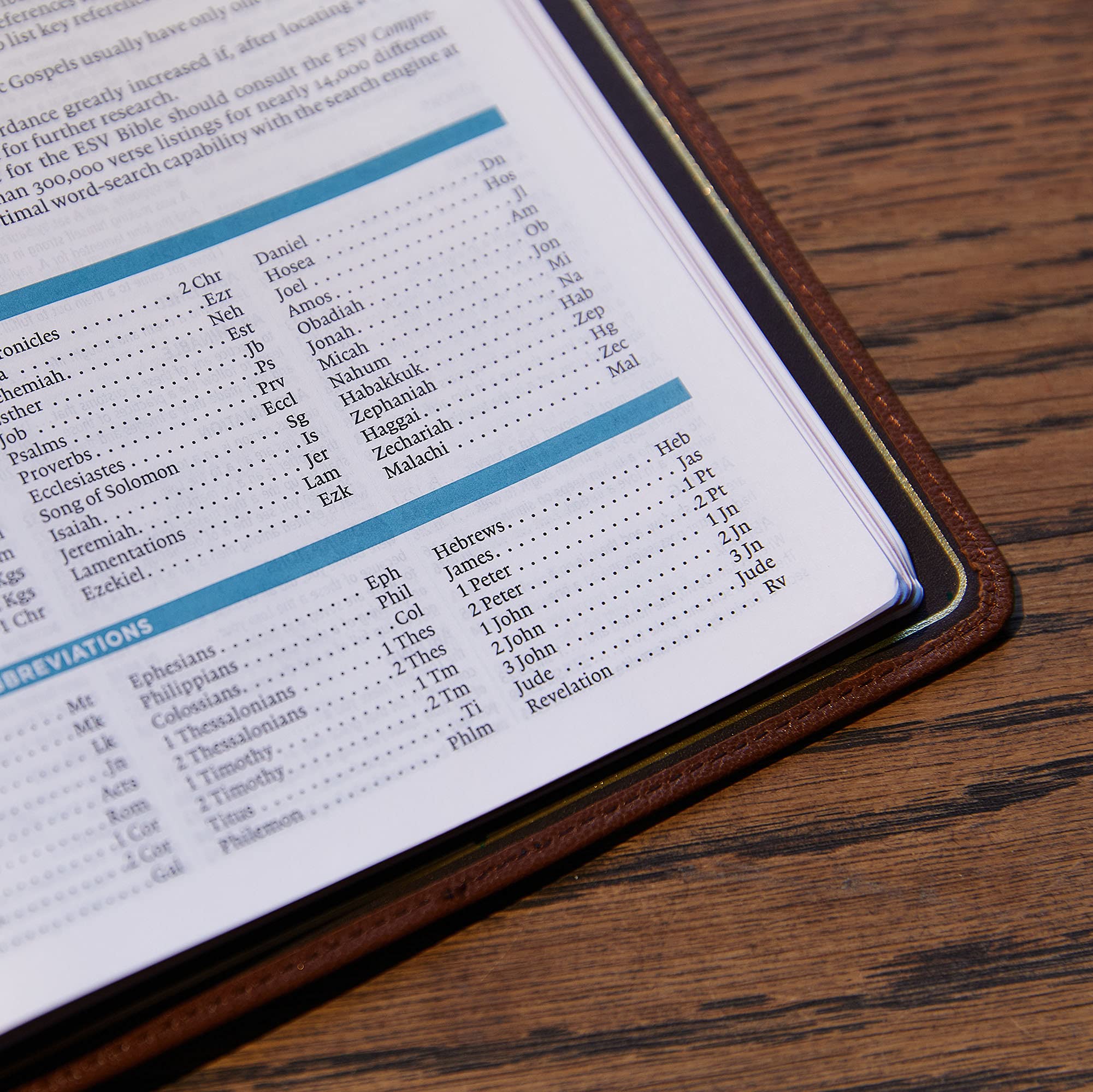 ESV, MacArthur Study Bible, 2nd Edition: Unleashing God's Truth One Verse at a Time - Image 17