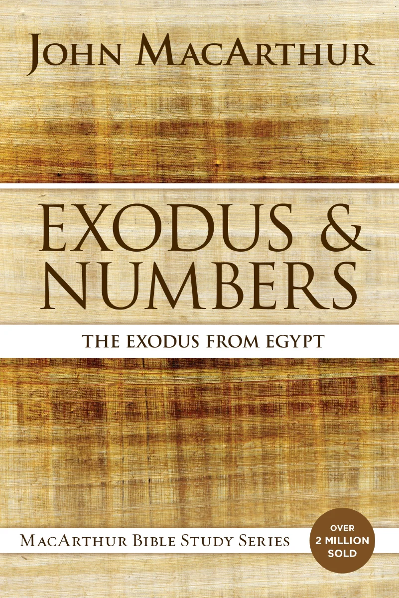 Exodus and Numbers: The Exodus from Egypt - Image 2