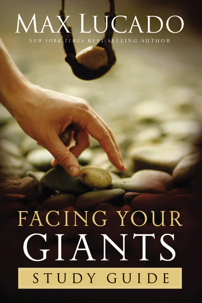 Facing Your Giants Study Guide: Discover More About the King David of the Bible and How to Defeat Your Goliath. The Perfect Gift for Fans of House of David