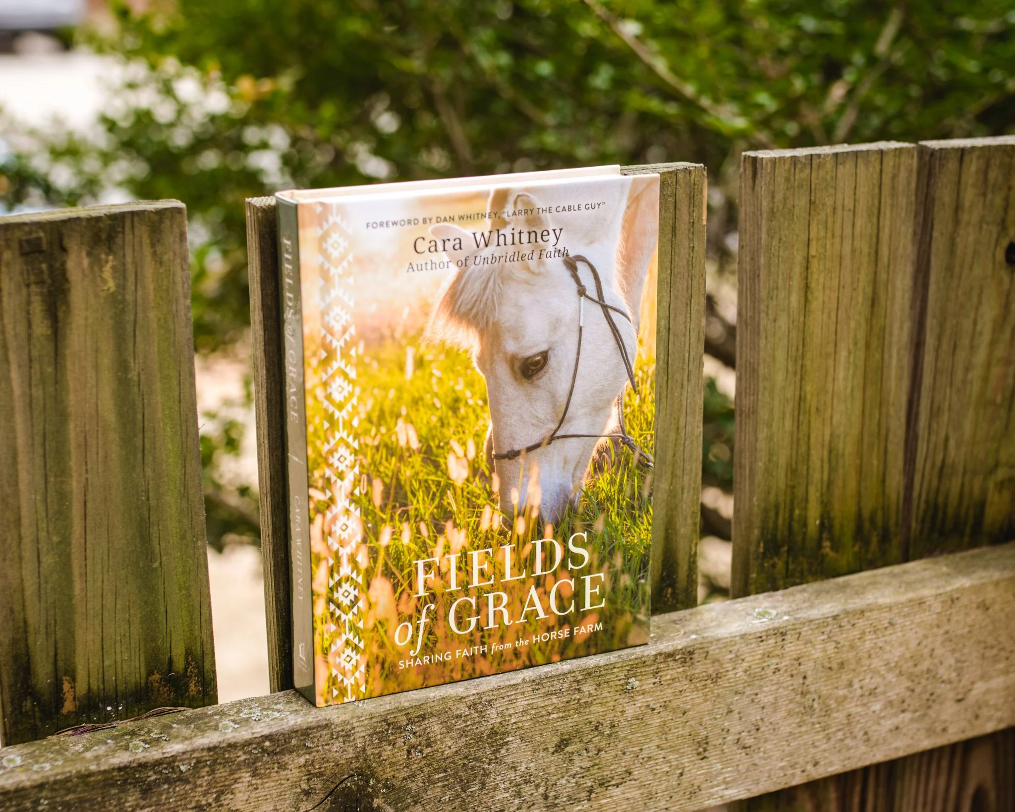 Fields of Grace: Sharing Faith from the Horse Farm - Image 6