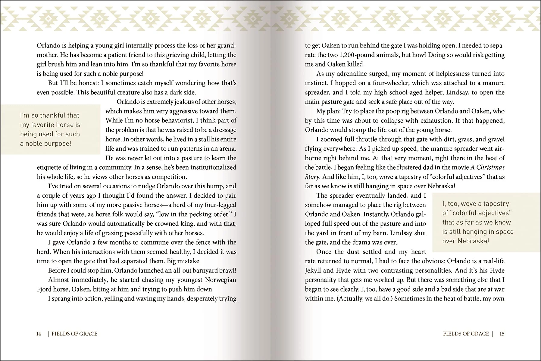 Fields of Grace: Sharing Faith from the Horse Farm - Image 8