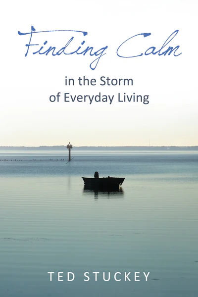 Finding Calm: In the Storm of Everyday Living - Image 2