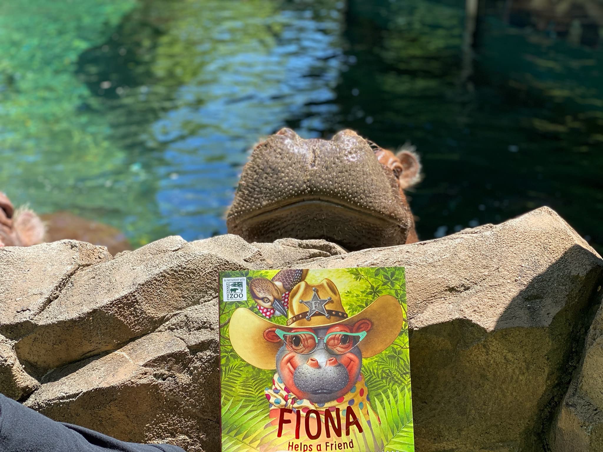 Fiona Helps a Friend - Image 4