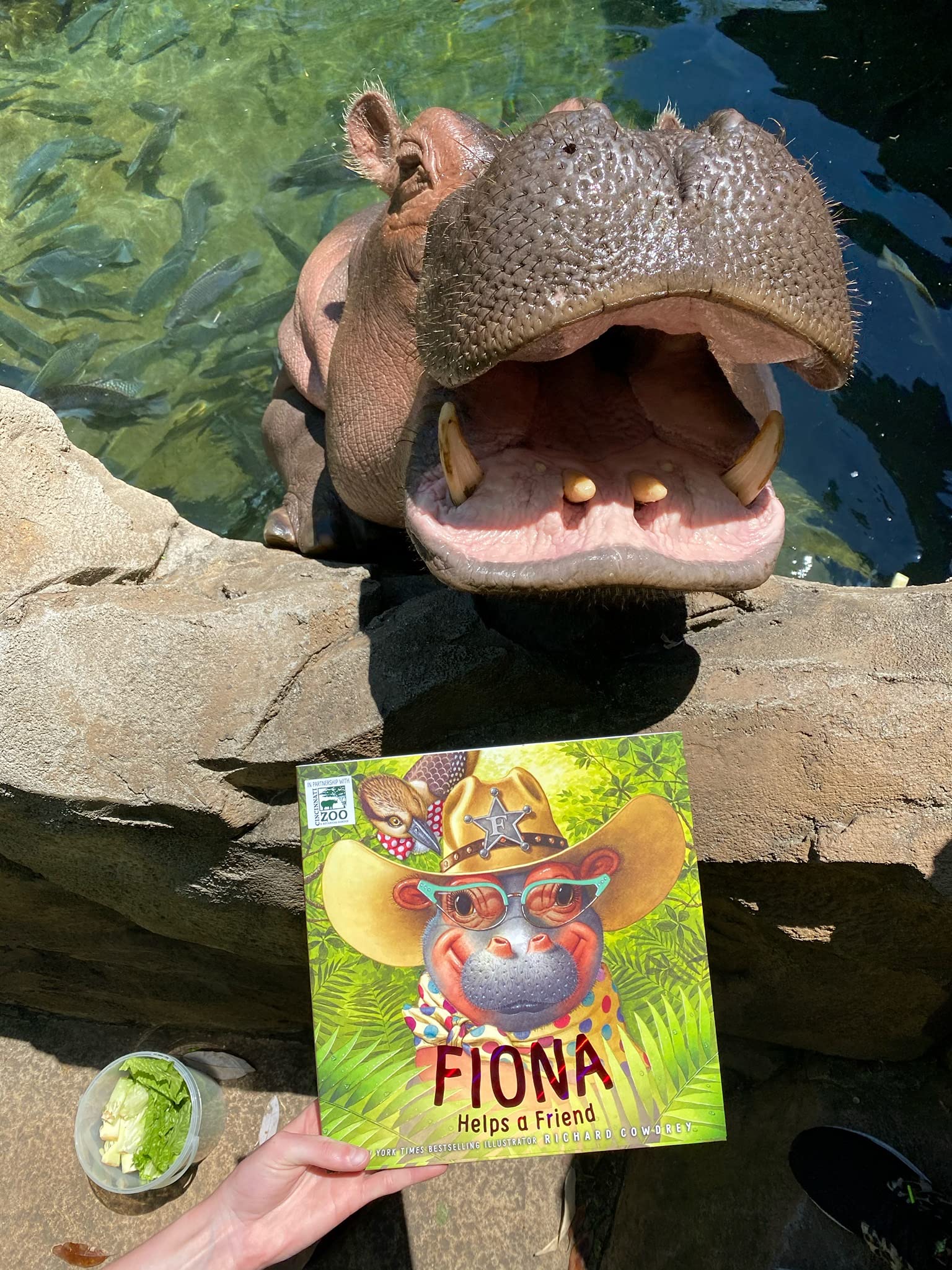 Fiona Helps a Friend - Image 6