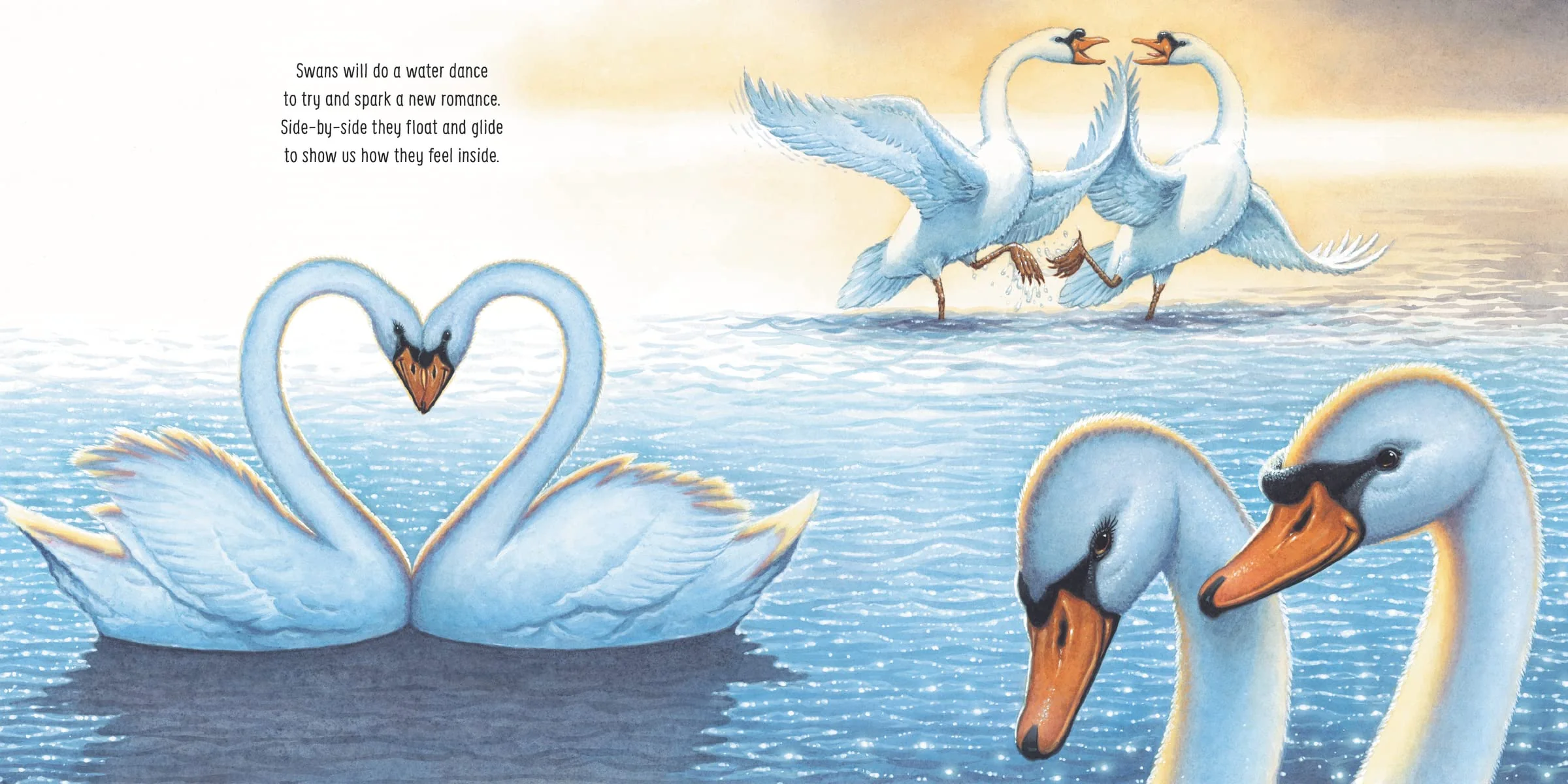Fiona, Love at the Zoo - Image 4