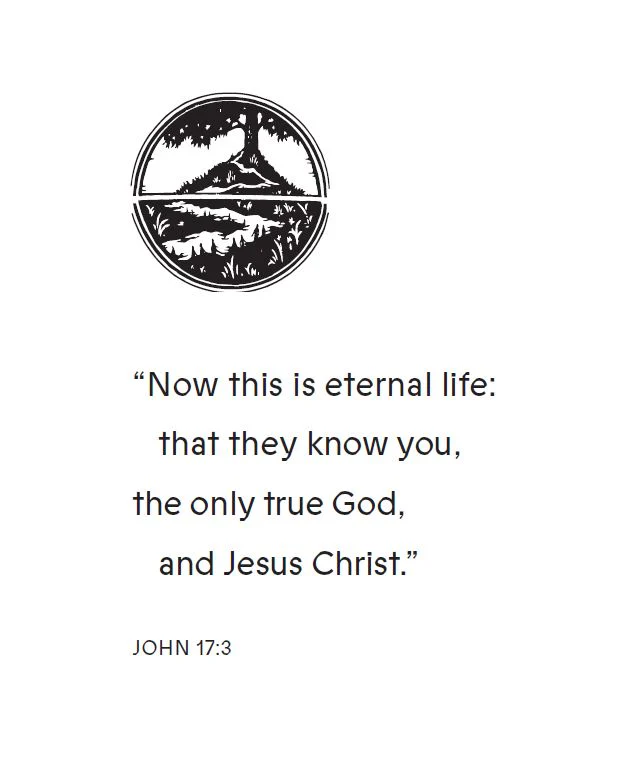Forever Bible Study Guide: The Story of God Making All Things Right - Image 6