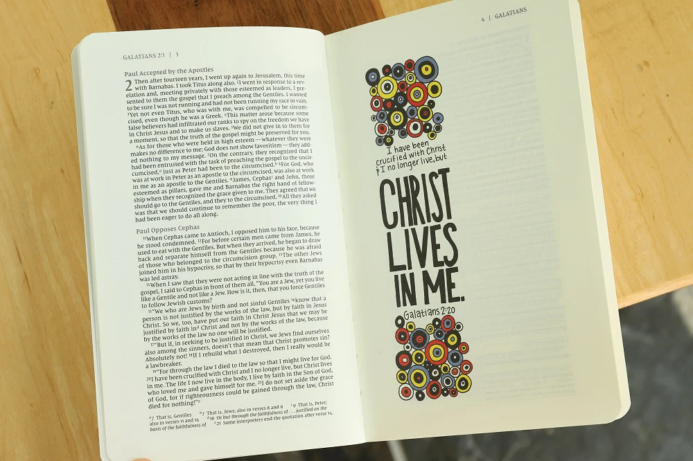 Galatians Bible Study Study Guide + Journal Bundle - Image 14