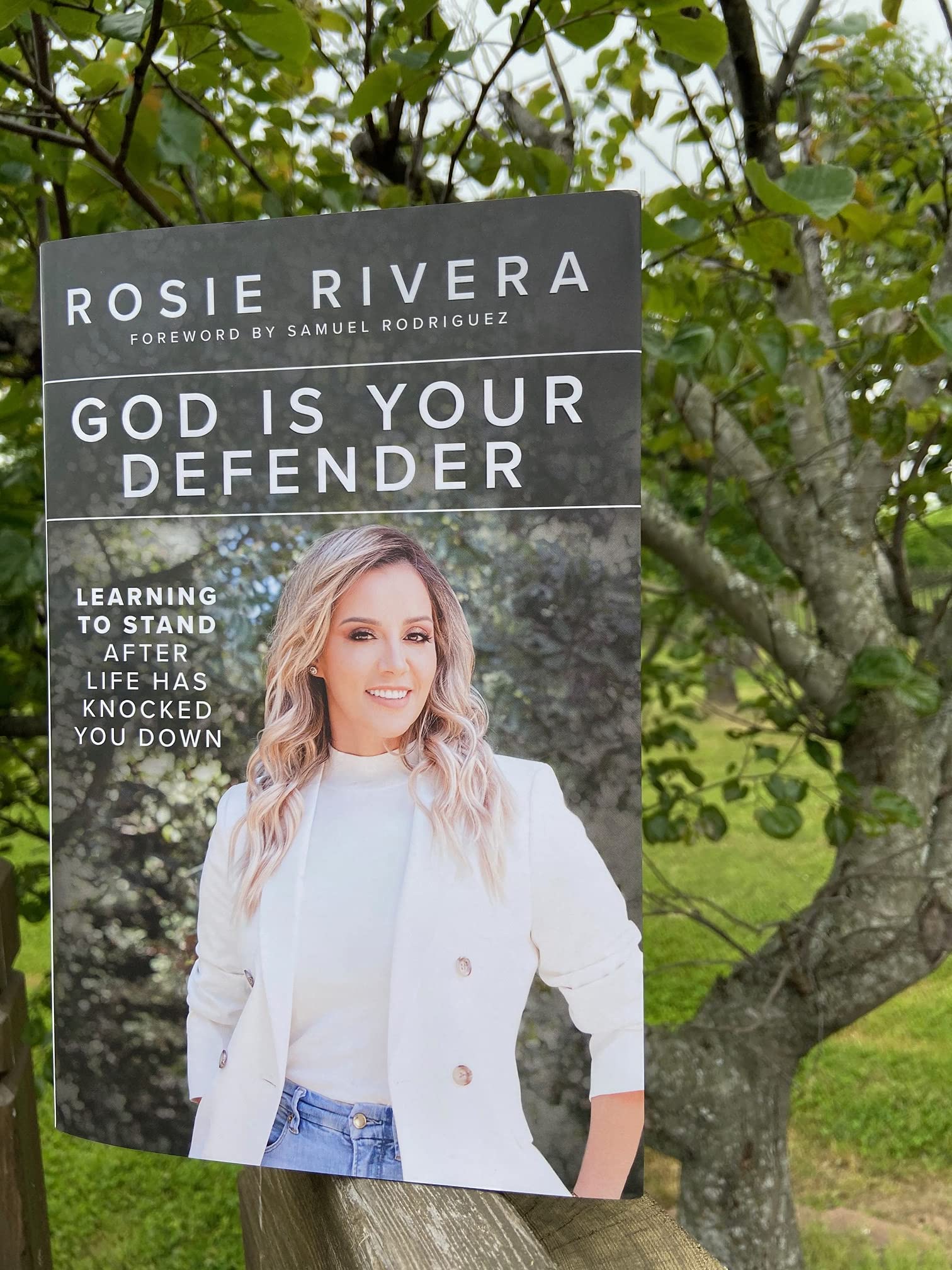 God Is Your Defender: Learning to Stand After Life Has Knocked You Down - Image 6