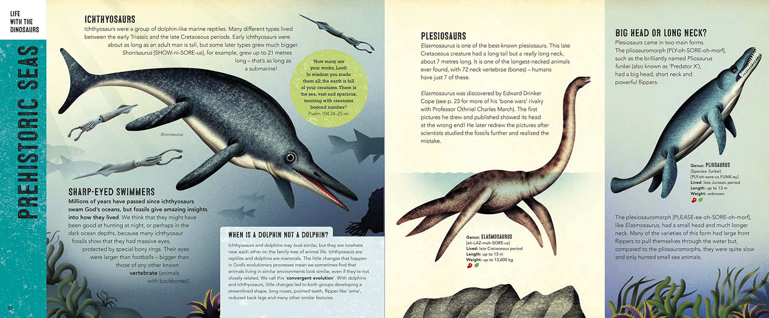 God Made the Dinosaurs: Full of Dinotastic Illustrations and Facts - Image 10