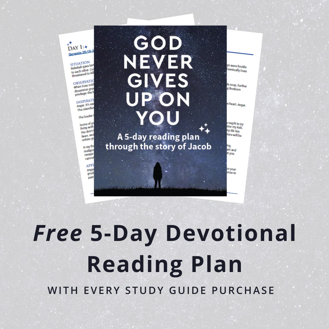 God Never Gives Up on You Bible Study Guide plus Streaming Video: What Jacob’s Story Teaches Us About Grace, Mercy, and God’s Relentless Love - Image 3