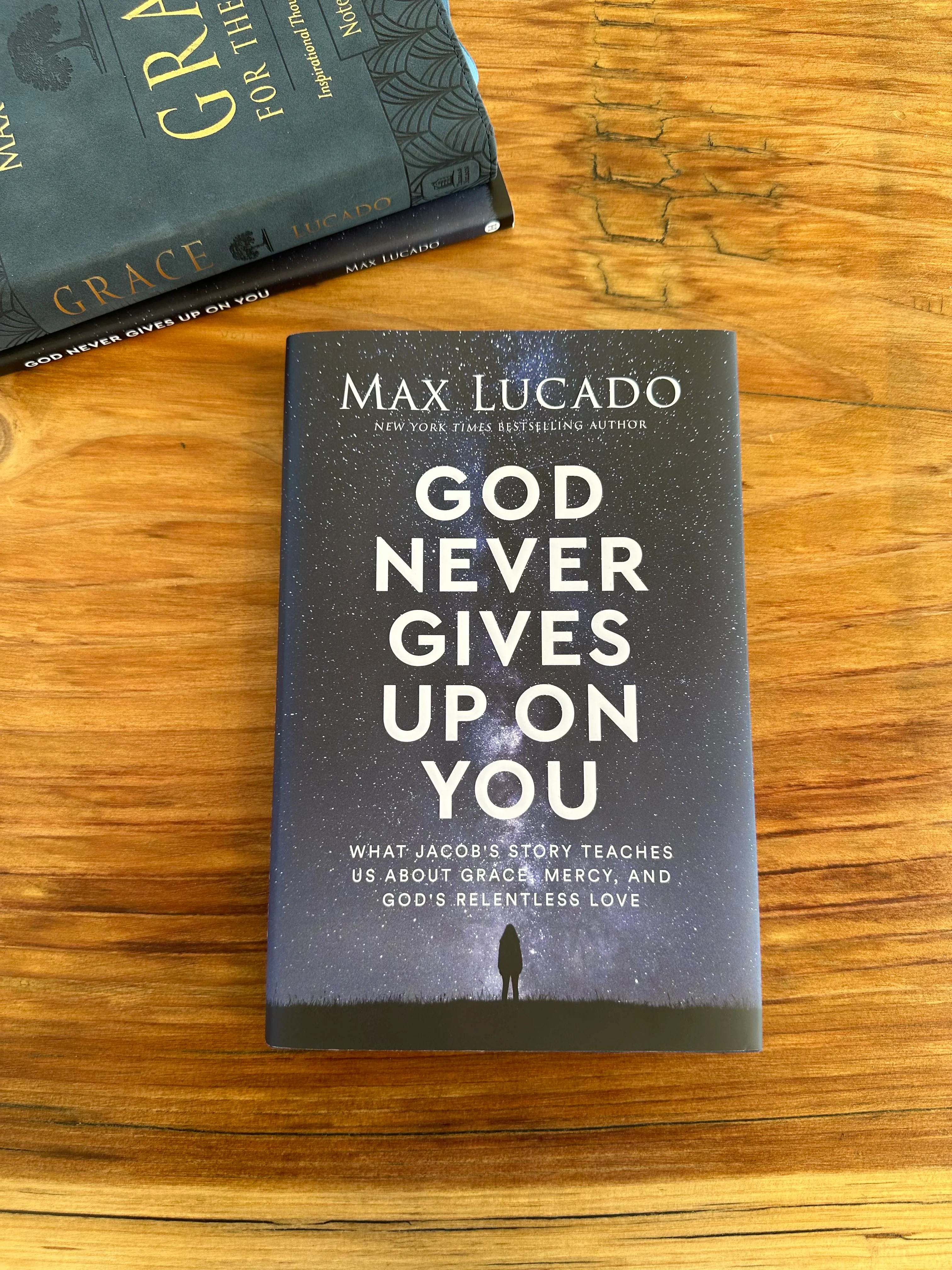 God Never Gives Up On You Study Guide + Book + Journal Bundle - Image 4