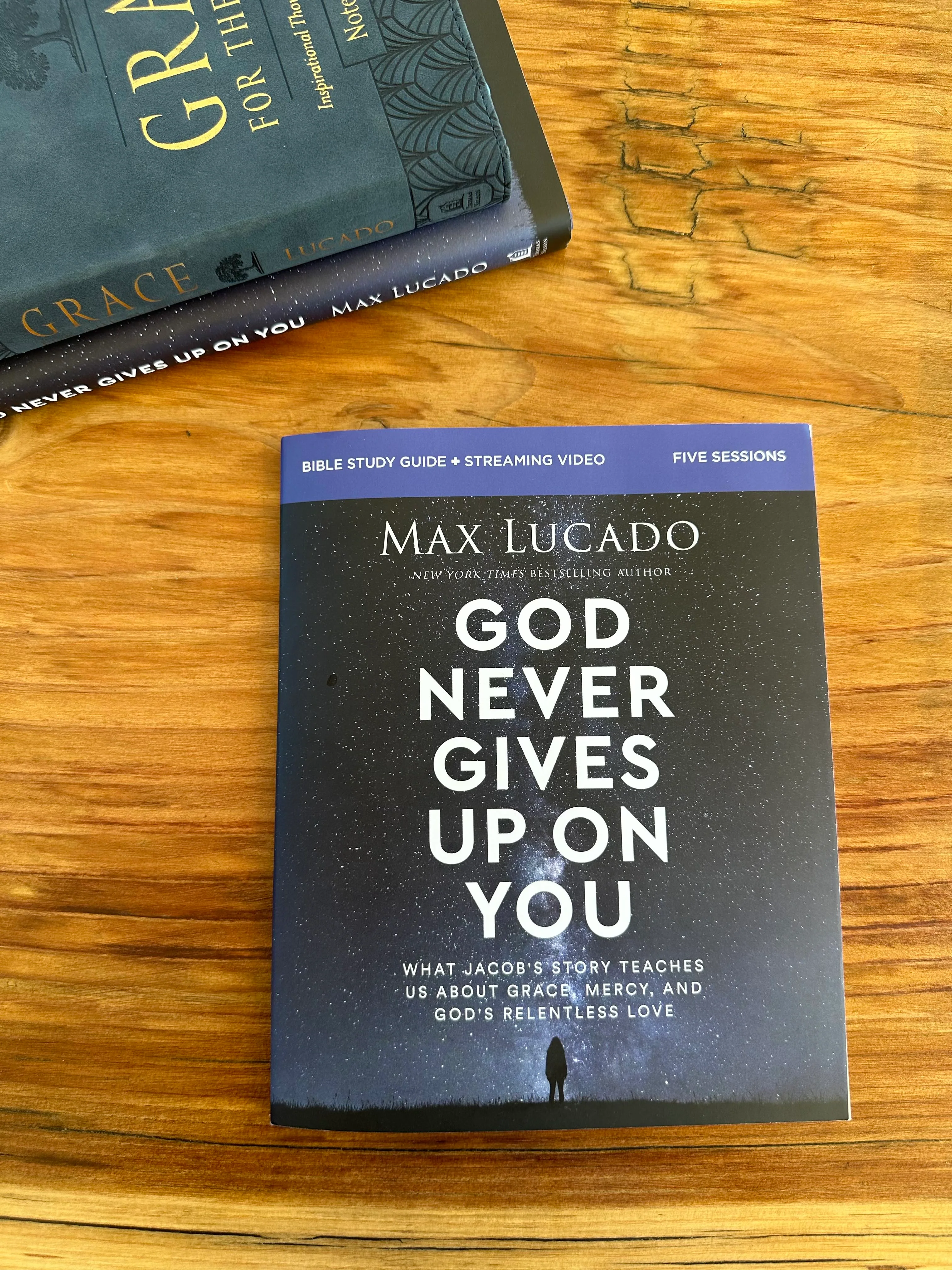 God Never Gives Up On You Study Guide + Book + Journal Bundle - Image 5