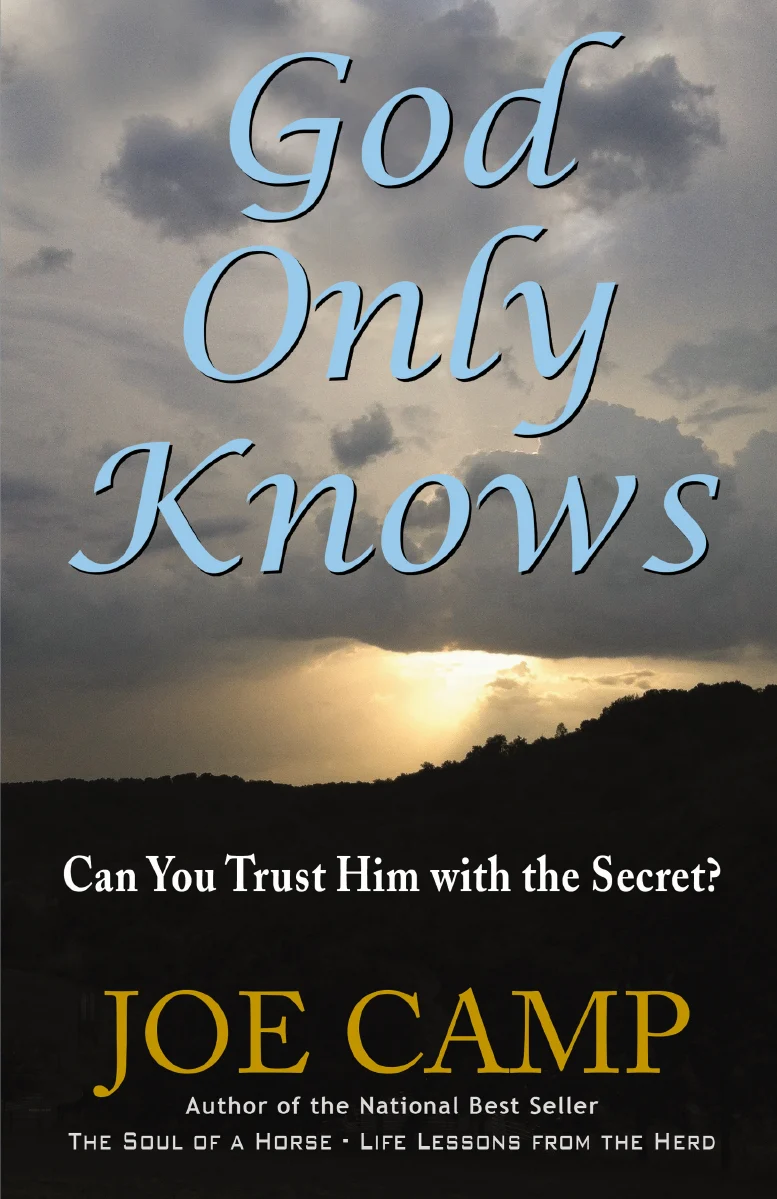 God Only Knows: Can You Trust Him With The Secret? - Image 3